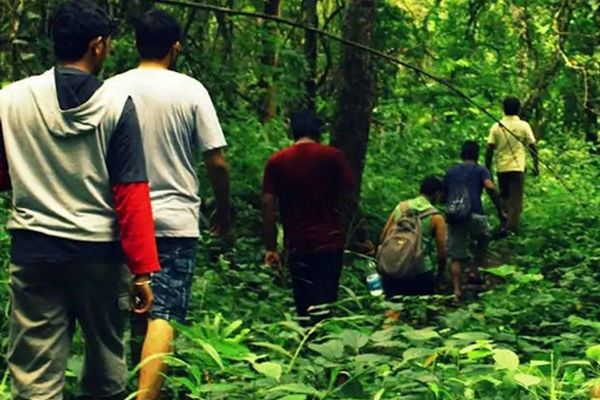 Jungle Trekking