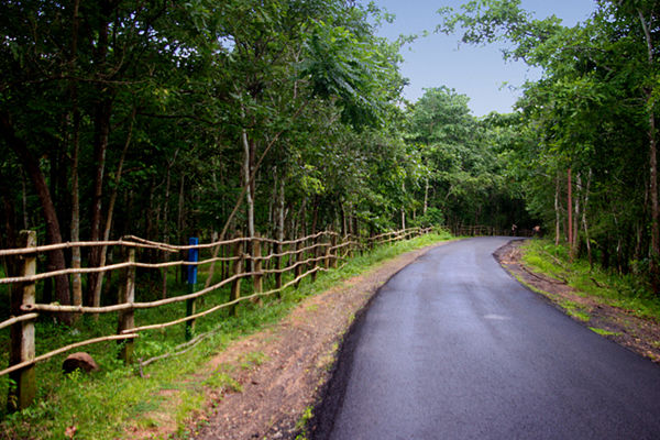 Maredumilli Forest Road Trip