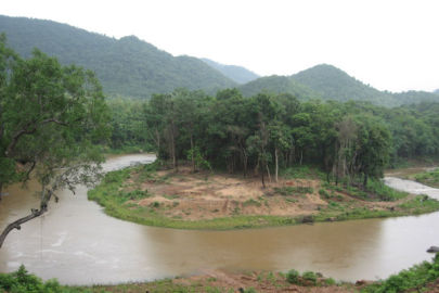 Jungle Star Eco Camp