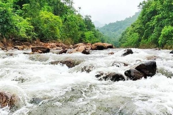 Pamuleru Vagu near Maredumilli, East Godavari Dist.